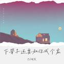 彤大王-下辈子还要和你成个家（DJ何友版）