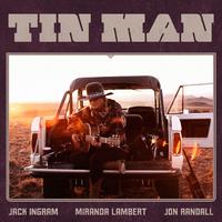 Tin Man Miranda Lambert (unofficial Instrumental)
