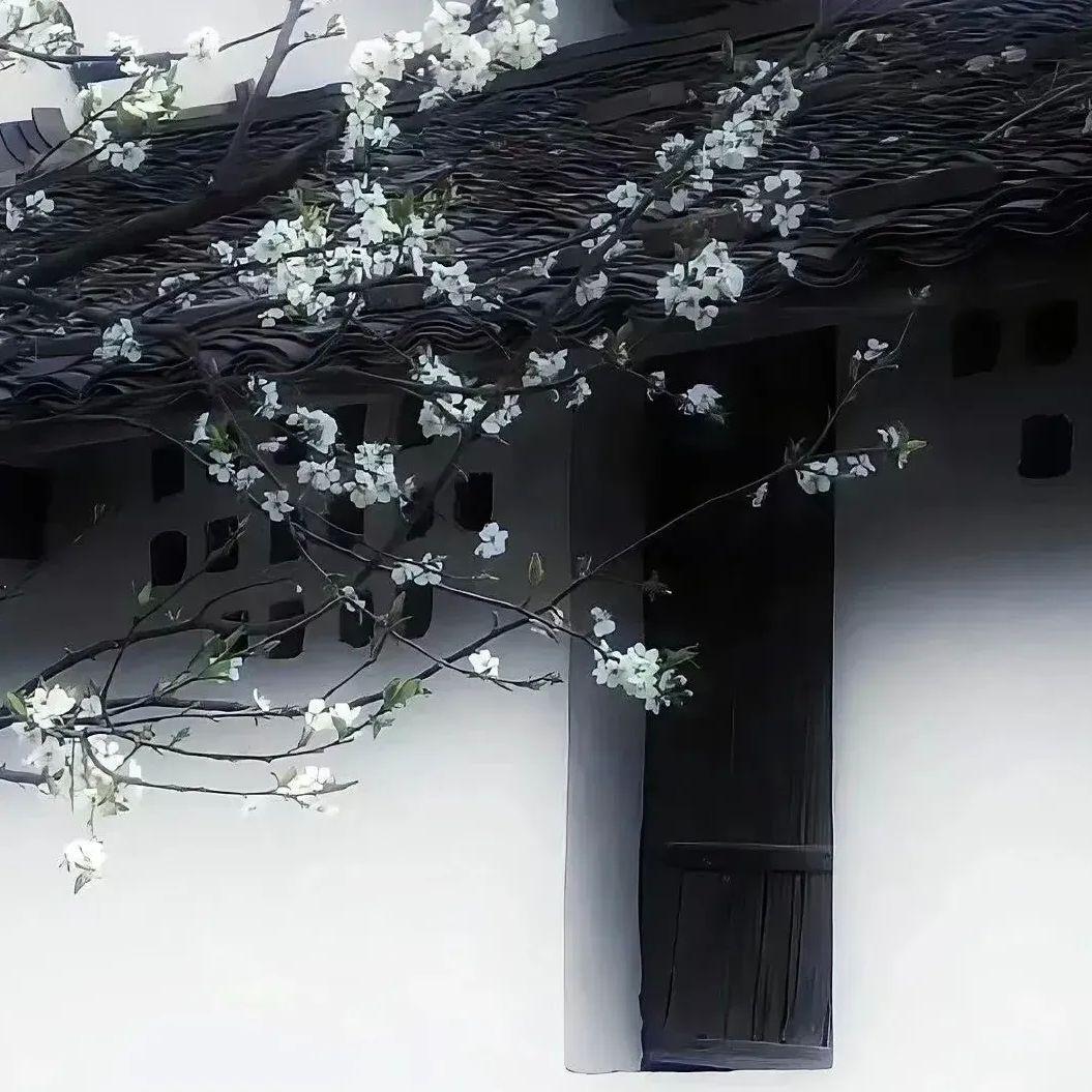 误梦（你用一个眼神 要我一个吻）