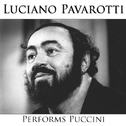 Pavarotti - Verdi Rarities专辑