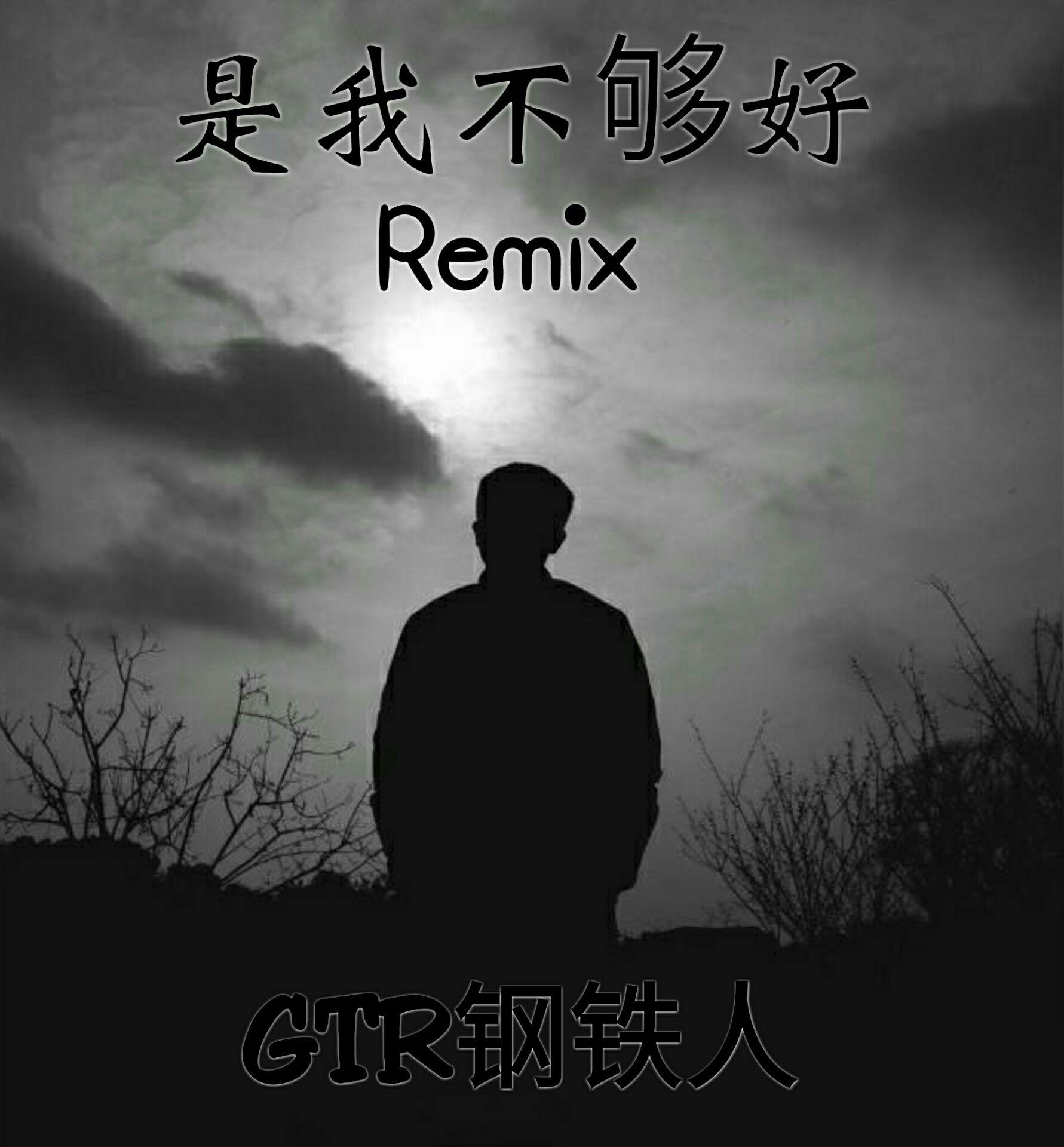 是我不够好remix专辑