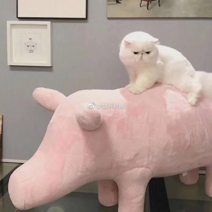 陪你自己