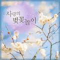 사랑의 벚꽃놀이 (Enjoying Cherry Blossom of Love)