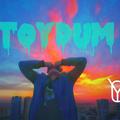 TOYDUM