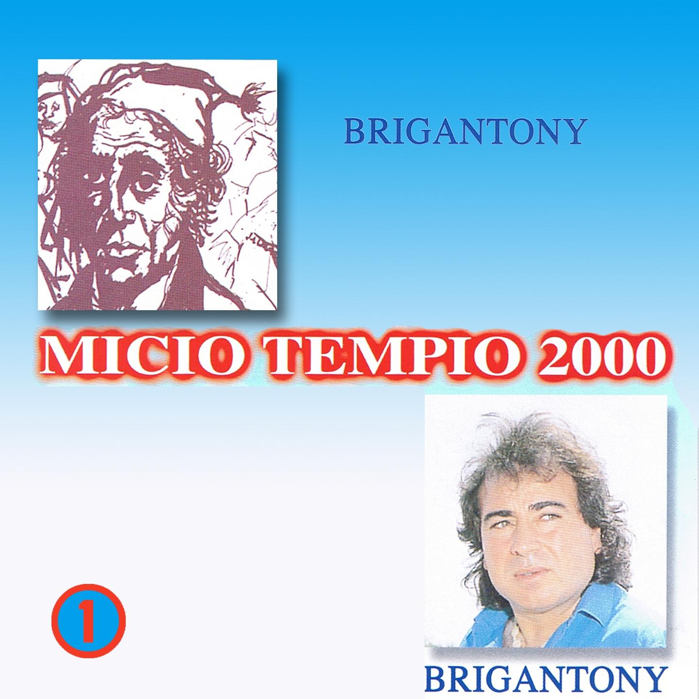 Micio tempio 2000