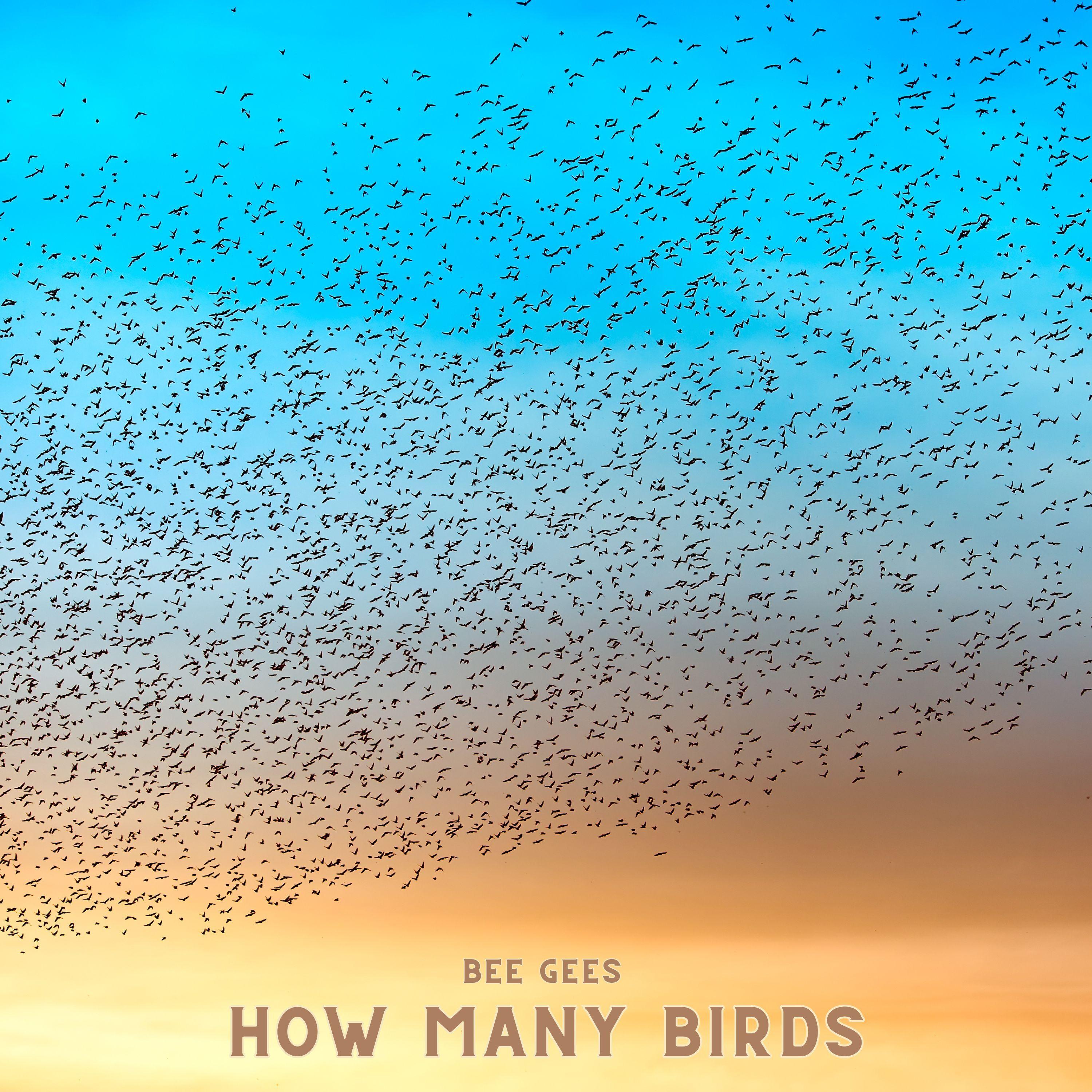 How Many Birds
