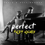Perfect (FRDY Remix)专辑