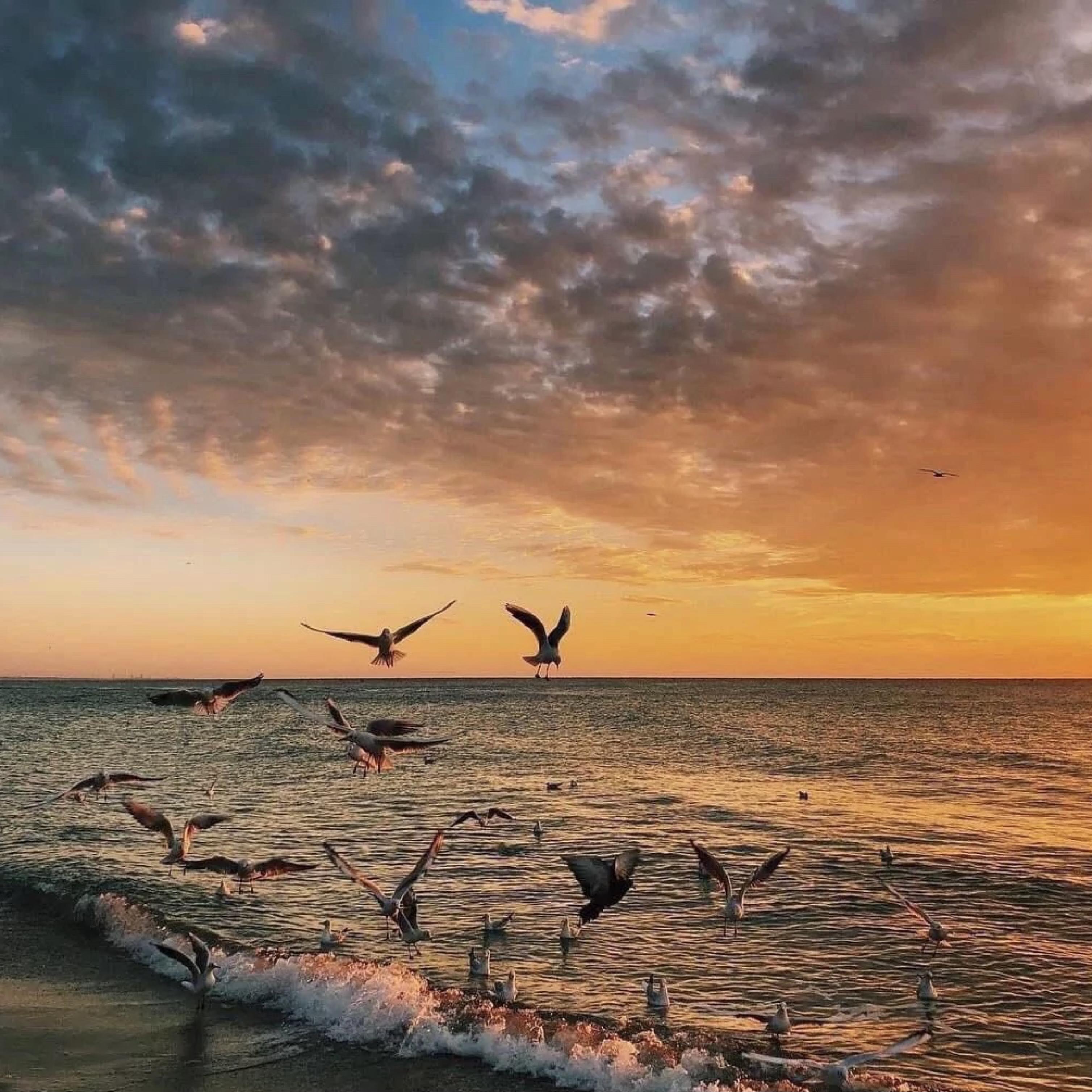 秋天不回来（抖音完整版）