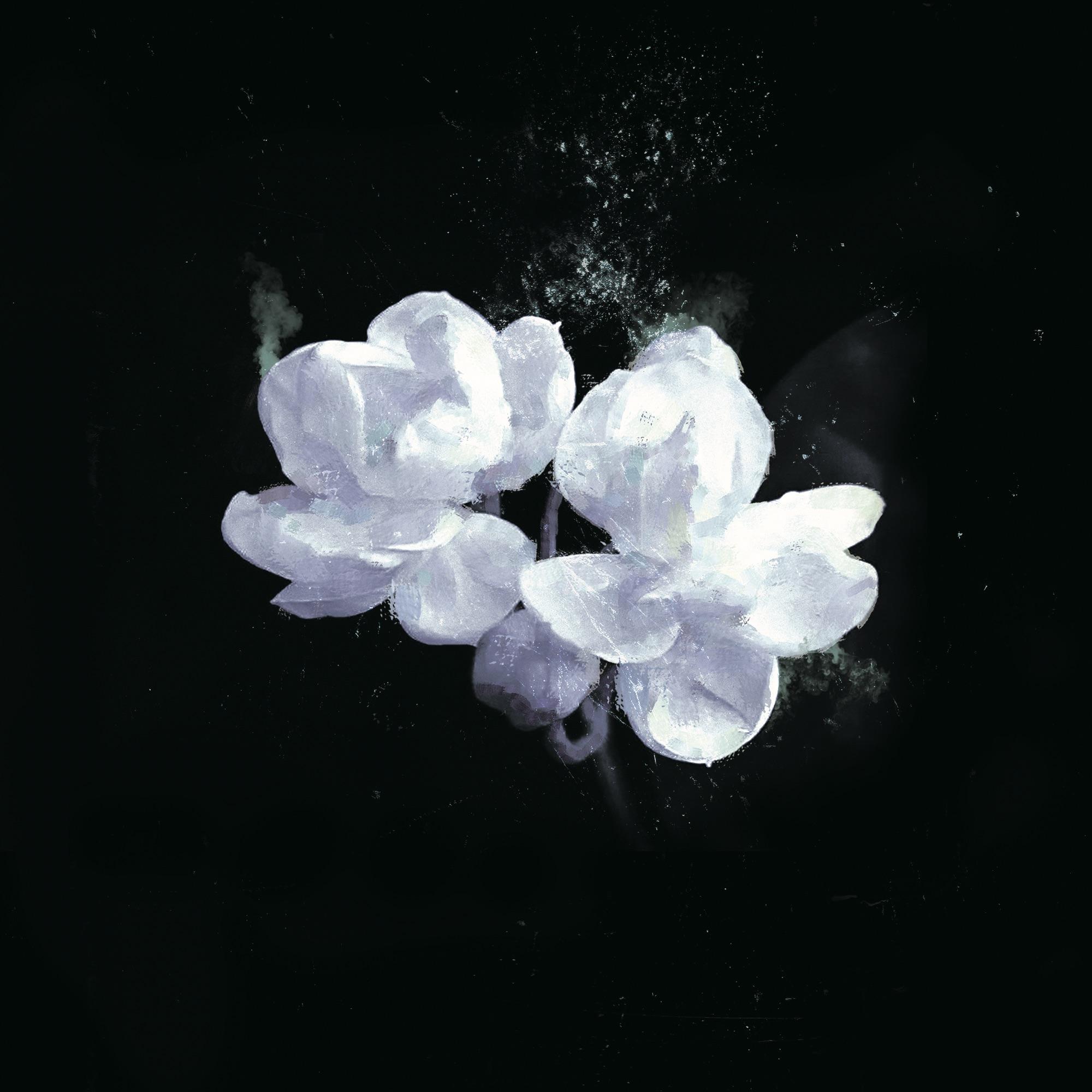 小夜曲