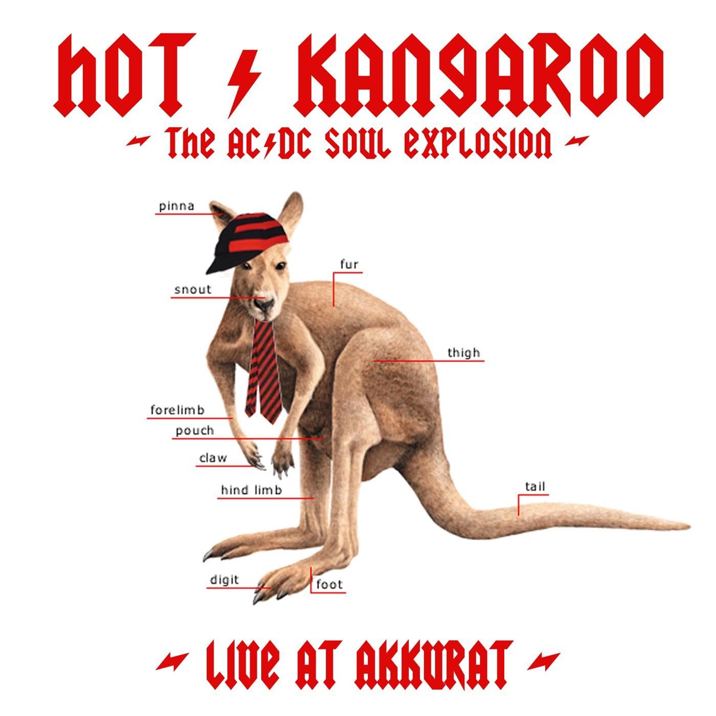 The AC-DC Soul Explosion - Live At Akkurat