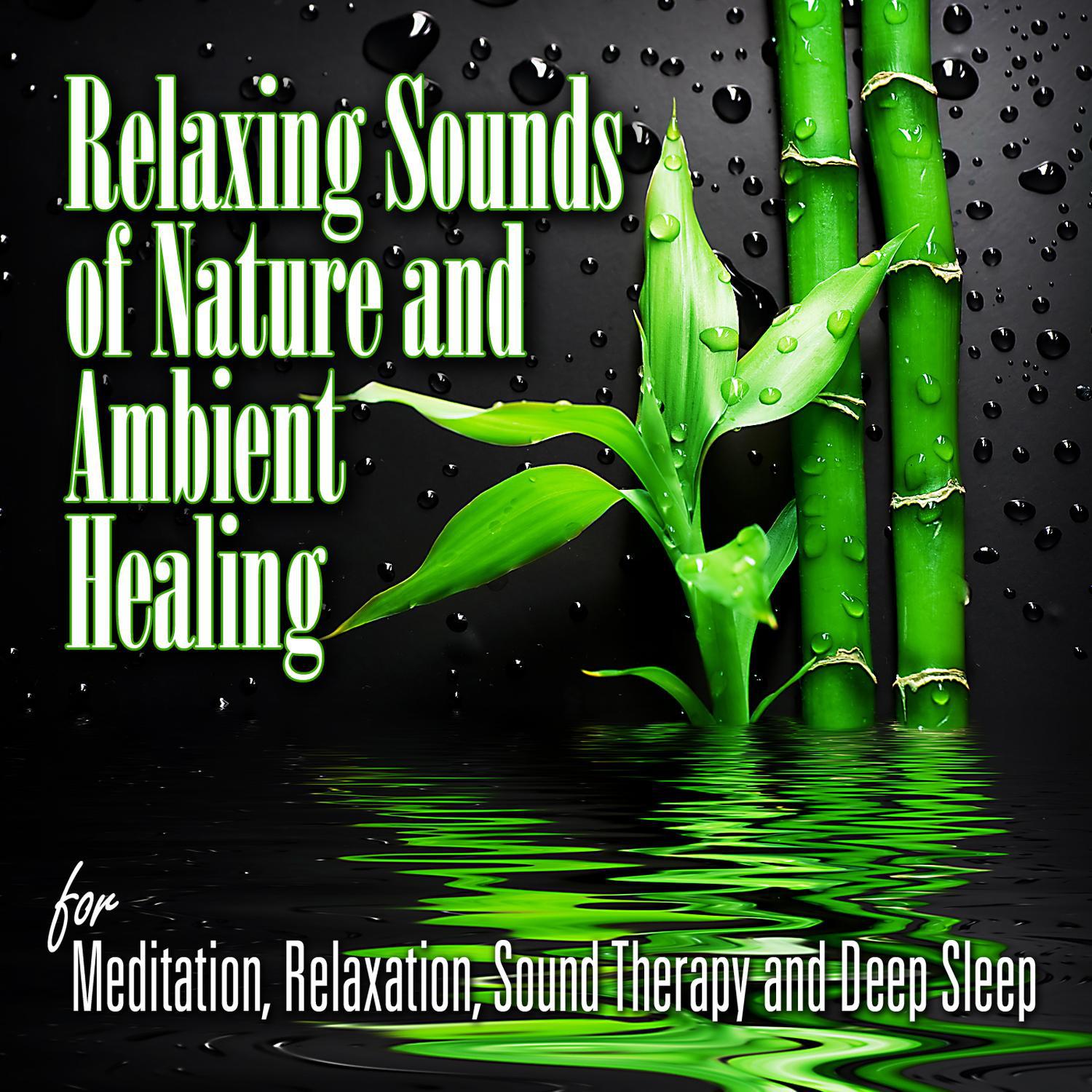 Sounds of Nature Relaxation - Mighty Thunderstorm with Wind and Rain for Well Being and Spiritual Healing