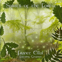 Spirits Of The Forest专辑