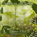 Spirits Of The Forest专辑