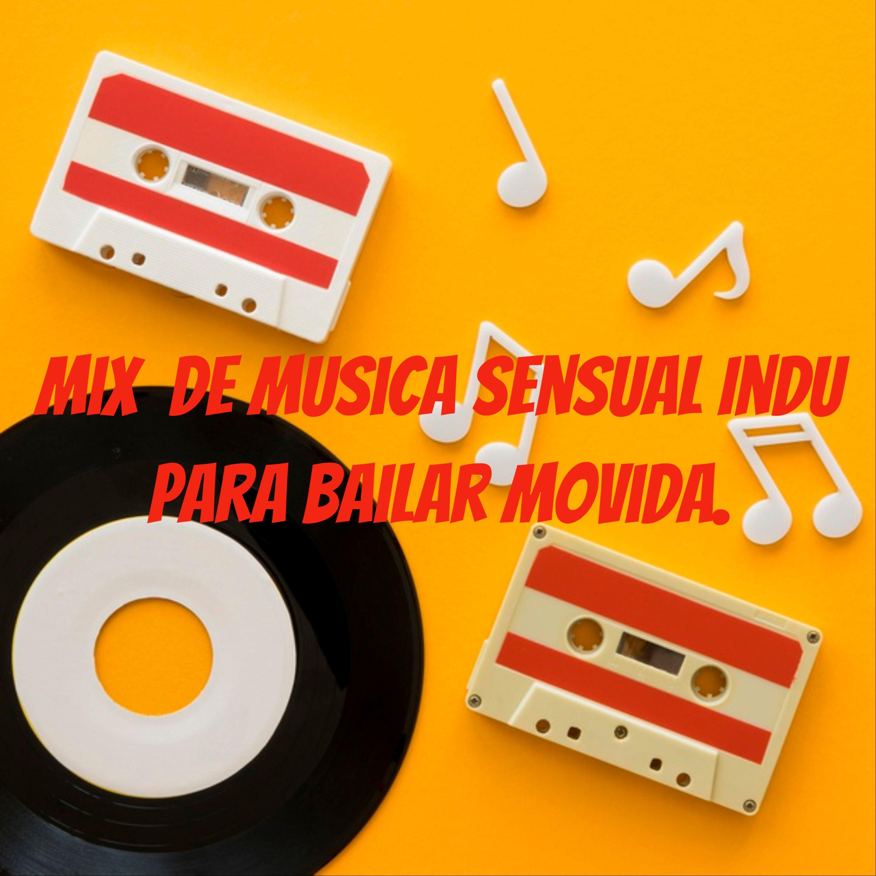 Mix De Musica Sensual Indu
