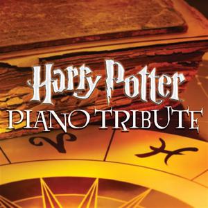 Piano Tribute Players-Hedwig s Theme （降2半音）