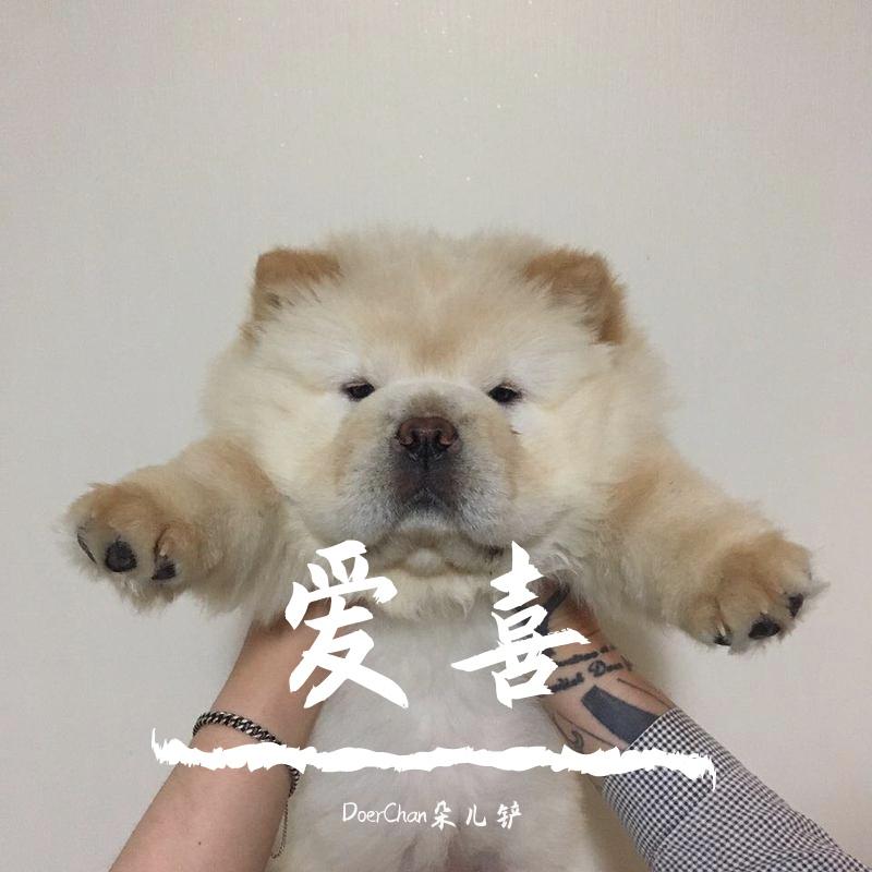 爱喜