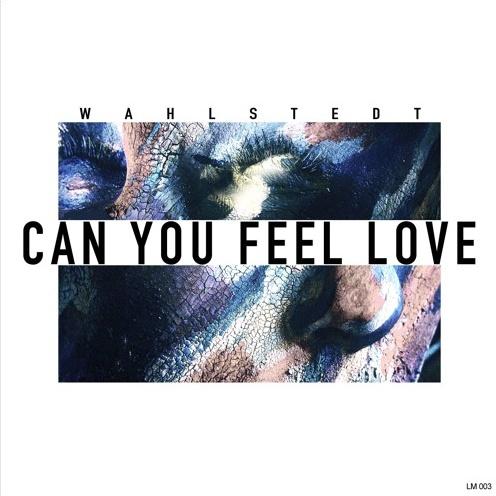 Can You Feel Love