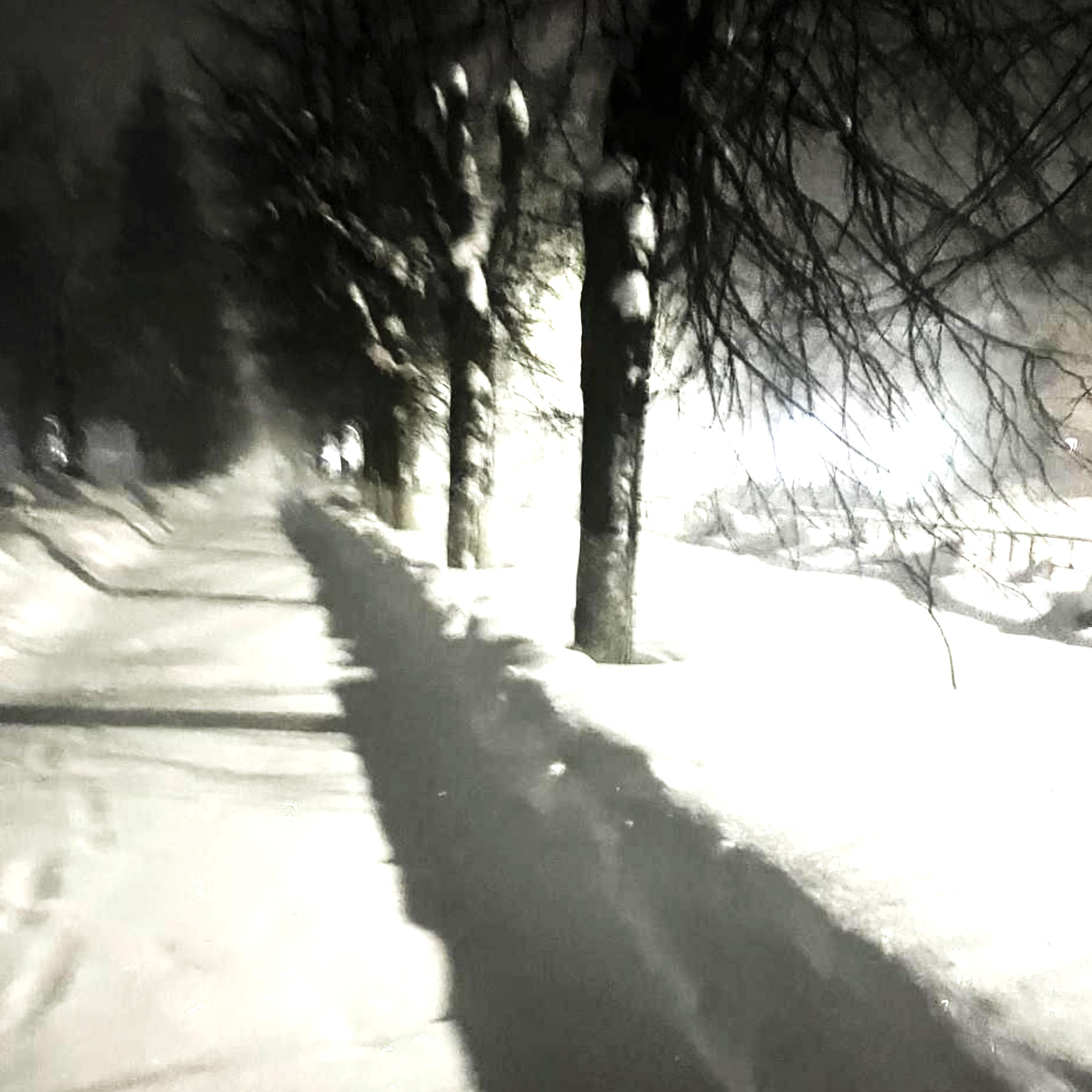 Walk in the cold (Slowed)