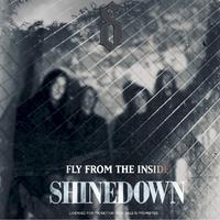 Shinedown - Fly From The Inside (PT karaoke) 带和声伴奏