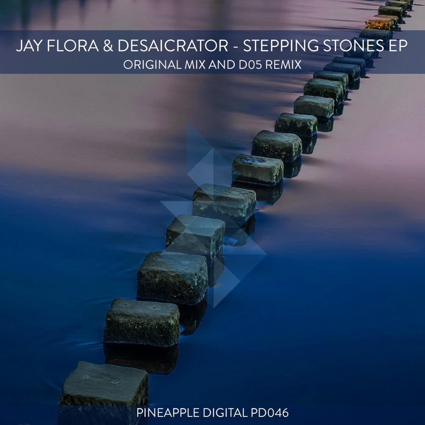 Desaicrator - Stepping Stones (D05 Remix)