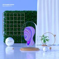 (nicosound)chameleon
