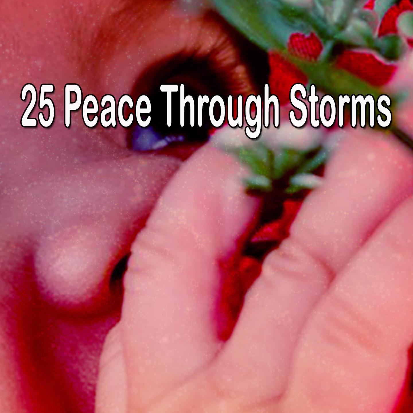 25 Peace Through Storms专辑