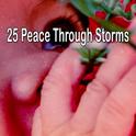 25 Peace Through Storms专辑