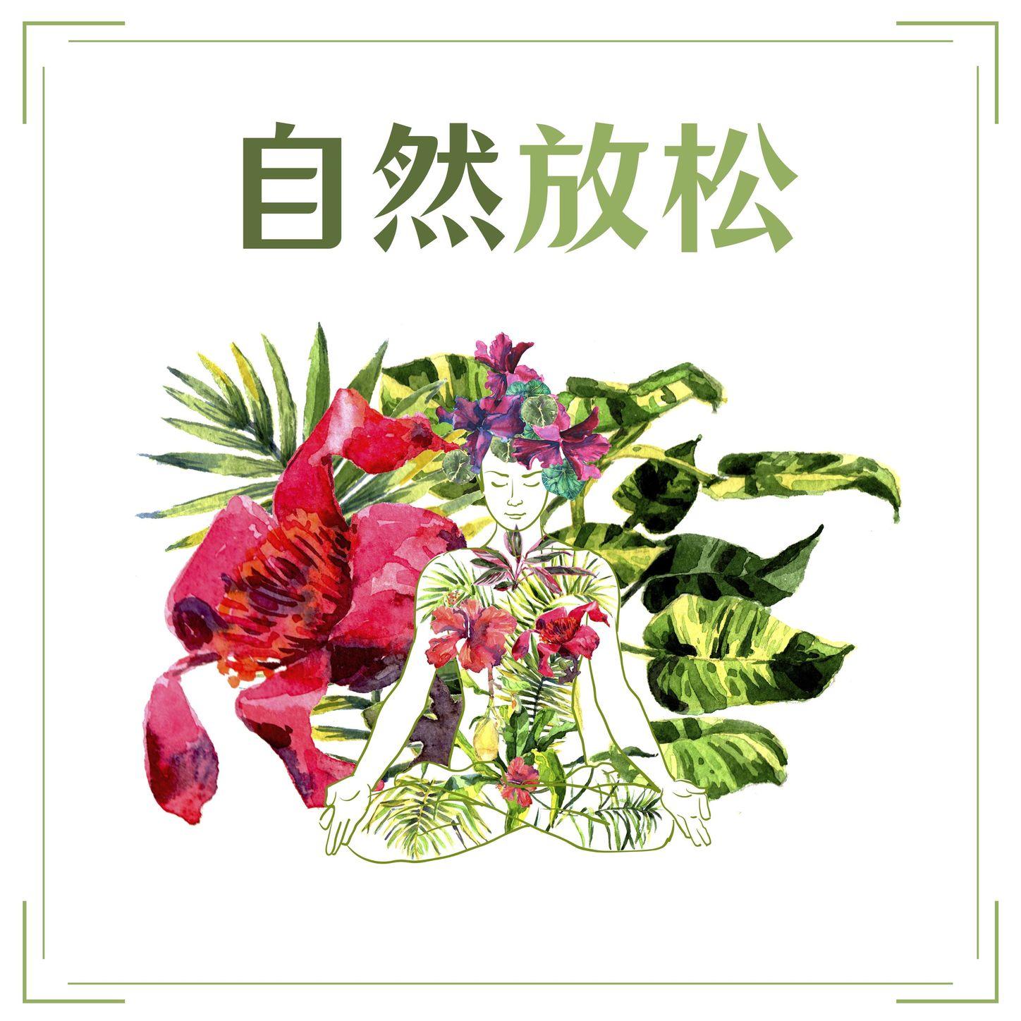 自然放松: 深度放松的白噪音，大自然的声音，流水声、雨声、鸟叫声，疗愈的音乐