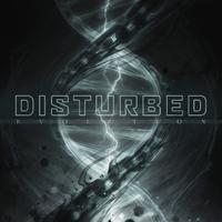 A Reason To Fight - Disturbed (unofficial Instrumental) 无和声伴奏