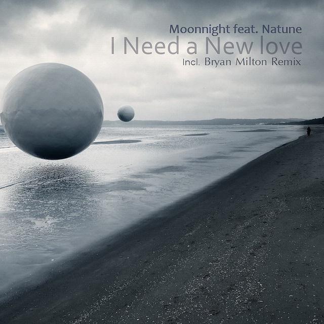 I Need a New love (Bryan Milton Remix)