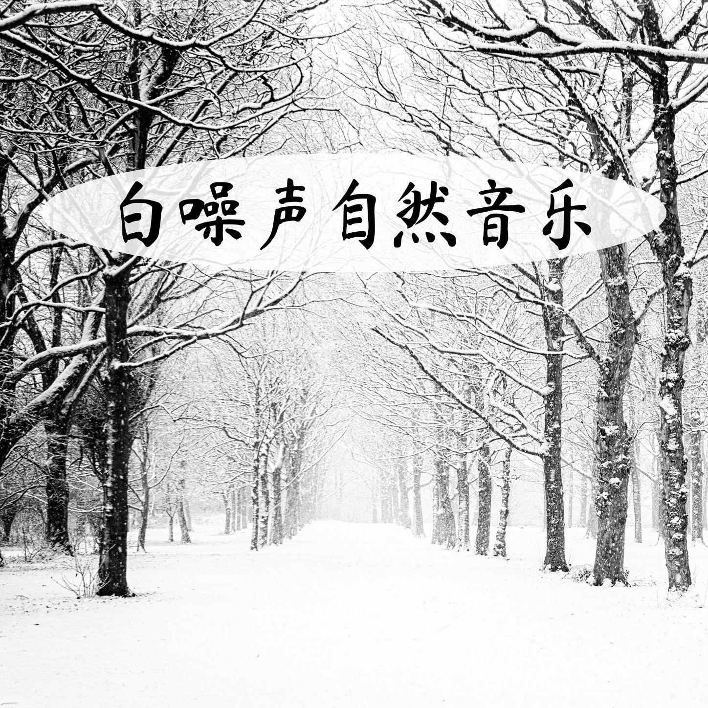 白噪声自然音乐: 夜晚的森林睡眠和缓解压力, 纯净大自然声