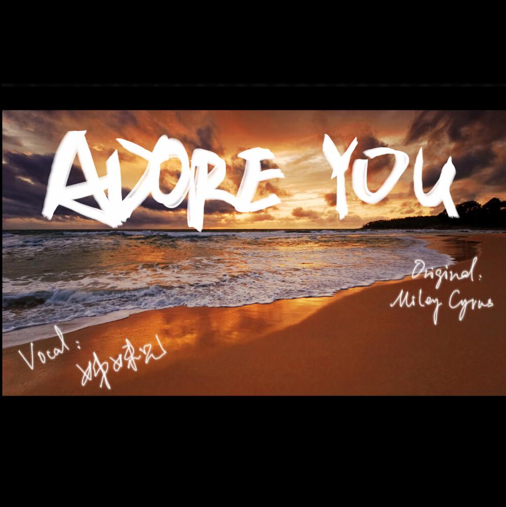 Adore You专辑