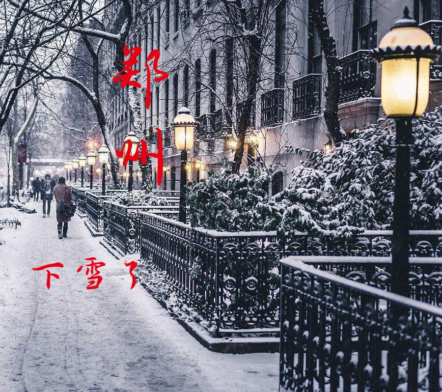 郑州下雪了专辑