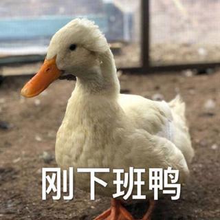 通用>设置>加班时自动播放