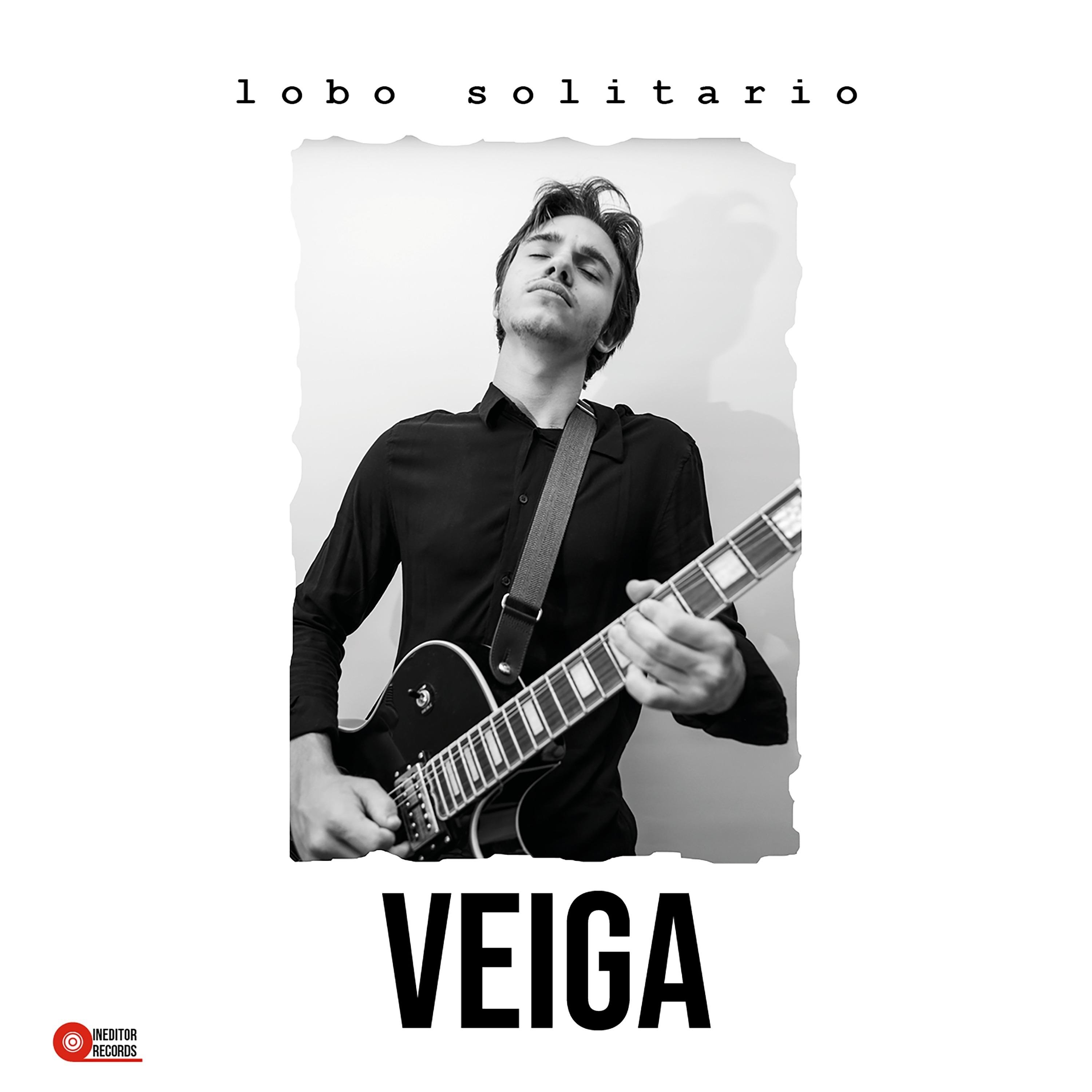 Lobo solitario
