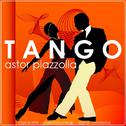 Tango专辑