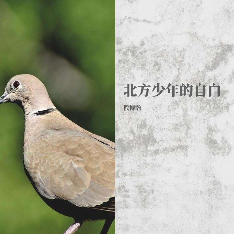 北方少年的自白