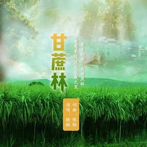 晓枫 - 甘蔗林(原版立体声伴奏)