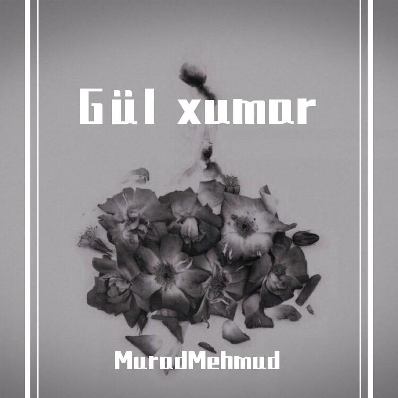 Gül xumar