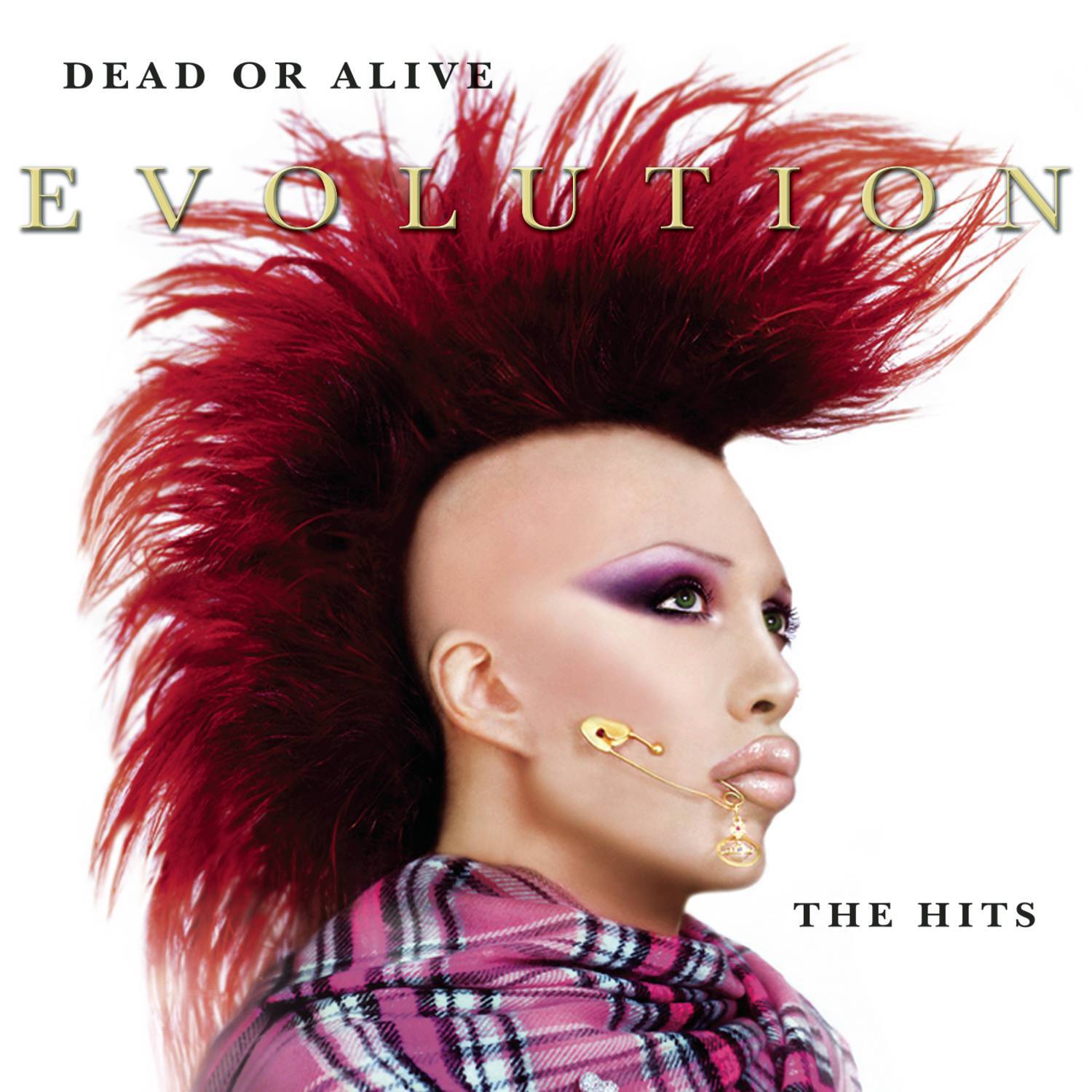 Dead or alive spin me round. Dead or Alive группа. Группа Dead or Alive 2016. Dead or Alive Music Group. Evolution: the Hits Dead or Alive.