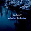 Winter in lake