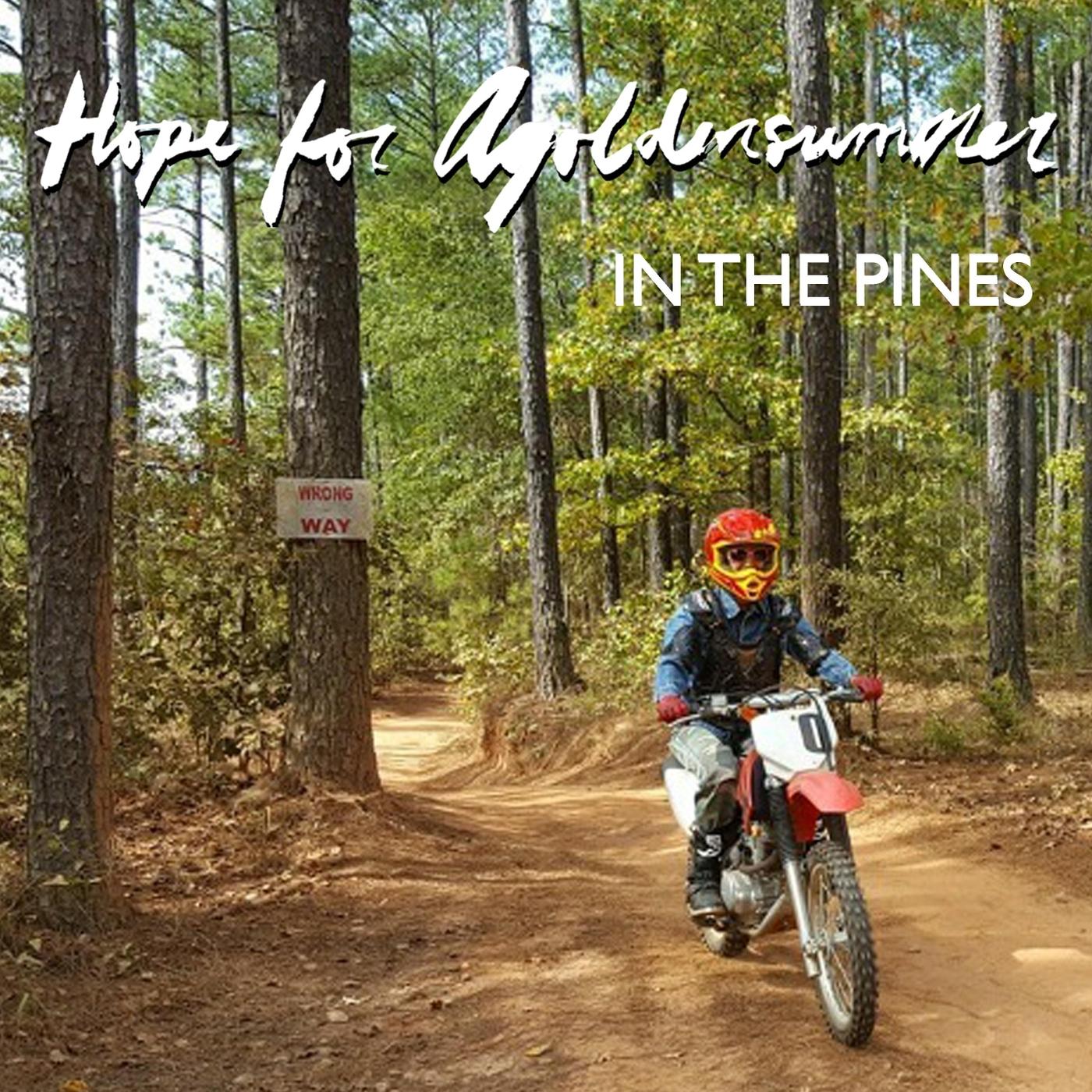 In the Pines
