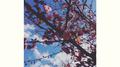Themes for Dying Earth专辑