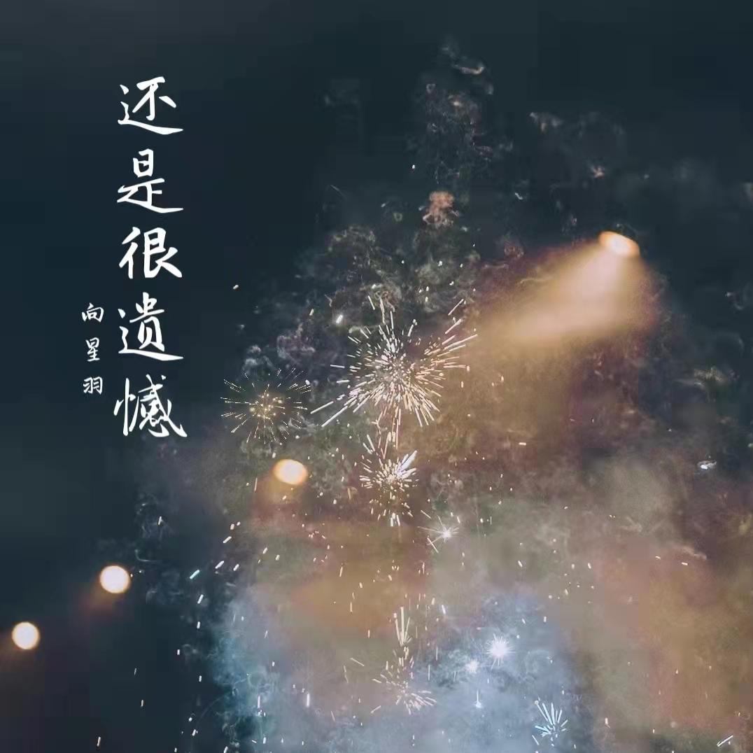 还是很遗憾 (伴奏)