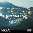 Bleeding Love (Cavego Remix)