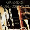 Wolfgang Amadeus Mozart, Grandes Compositores专辑