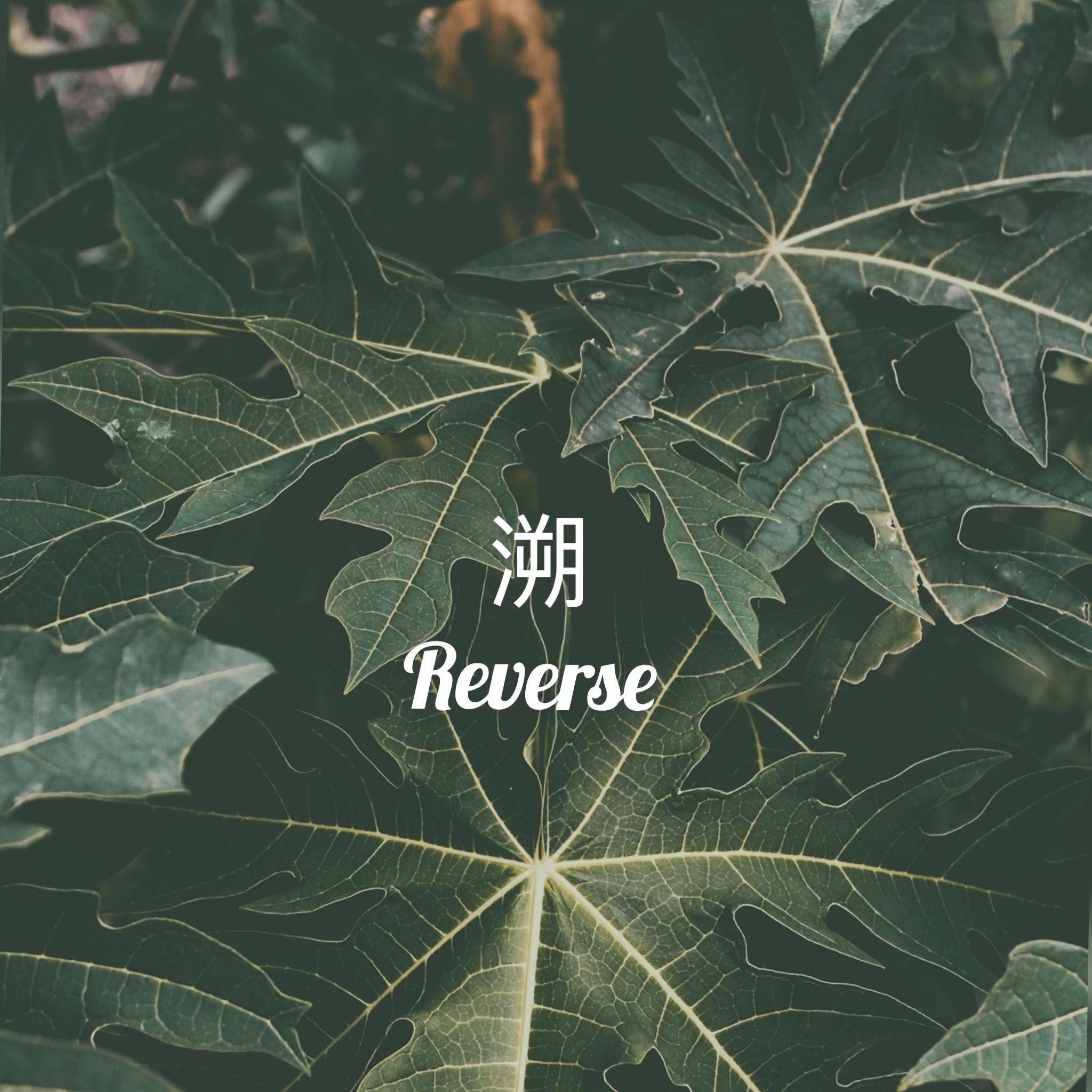 溯（Reverse）专辑