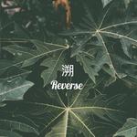 溯（Reverse）专辑