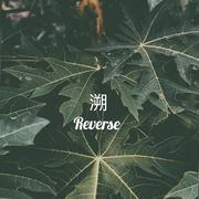 溯（Reverse）