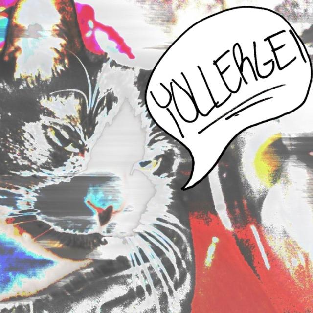 Yollergei